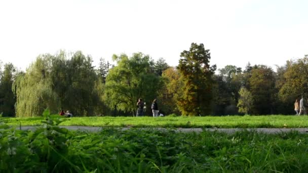 Podzimní park (stromů) - lidí chodících - tráva — Stock video