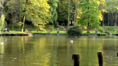 Sonbahar park (ağaçlar) - insanlar - ördekler - aile ve arkadaşlar arka planda göl - tezgah rahatla.