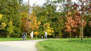 Sonbahar park (ağaçlar) - insanlar (aile) - düşen yapraklar - tezgah