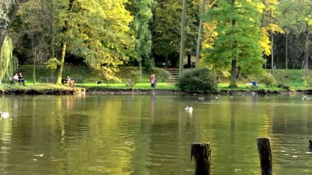 Parc d'automne (arbres) - les gens se détendre - lac avec des canards - famille et amis en arrière-plan - banc — Video