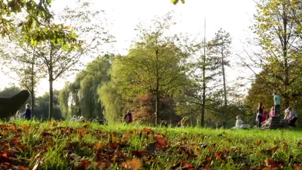 Parque de otoño (árboles) - personas caminando - hojas caídas - hierba - niños — Vídeo de stock