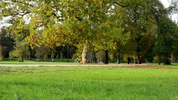 Herbst Park (Bäume) - Menschen zu Fuß - gefallenes Laub - Gras — Stockvideo