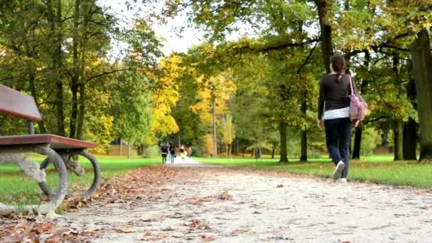 Herbstlicher Park (Bäume) - Spaziergänger - umgefallenes Laub - Bank — Stockvideo