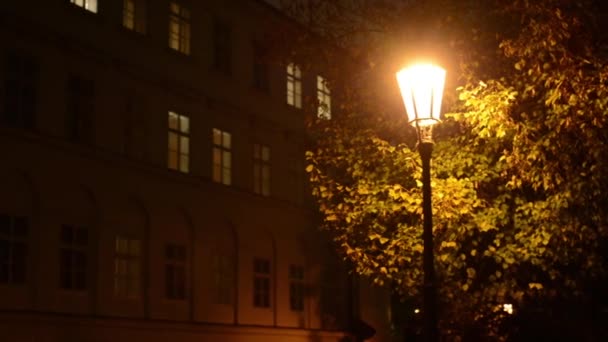Nacht stedelijke straat - lamp met boom - nacht exterieur vintage gebouw - windows — Stockvideo
