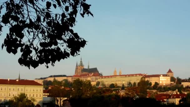 Πόλη (κτιρίων) - η κάστρο της Πράγας (Χρατσάνι) με υποκατάστημα δέντρο - πρωί - μπλε ουρανό — Αρχείο Βίντεο