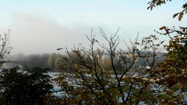 Bridge with autumn trees - buildings - morning mist — Stock Video