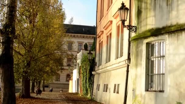 Old street - urban buildings - autumn trees - sun rays - people in background — Stock Video