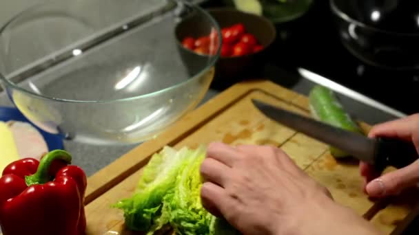 El hombre prepara la ensalada - timelapse — Vídeo de stock