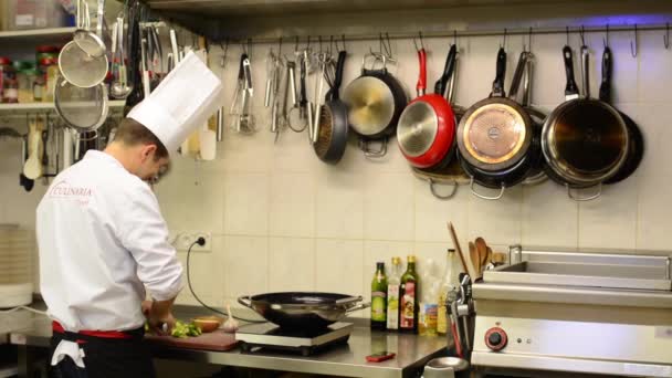 Chef cocina comida en la cocina (restaurante) - teléfono del chef — Vídeo de stock