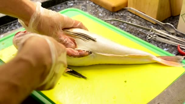 Chef cooks food in the kitchen - cook gutting fish — Stock Video