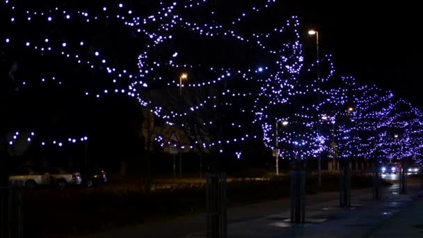 Arbres urbains décorés de lumières de Noël - nuit - ville : rue urbaine avec personnes et voitures — Video