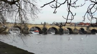 Prague, Çek Cumhuriyeti ve Nehri Vltava martı ile Charles Köprüsü