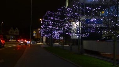 Kentsel ağaçlar dekore ile Noel ışıkları - gece - şehir: Kentsel sokak