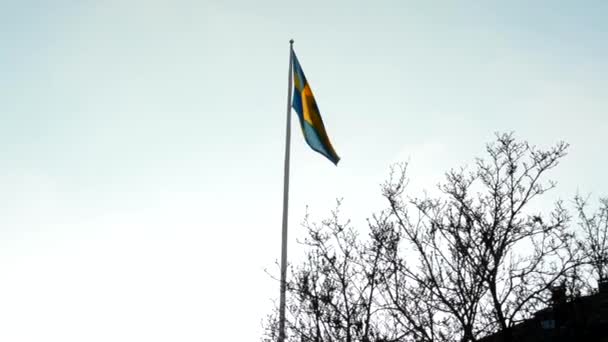スウェーデンの旗の裸木の塀と建物の日当たりの良い — ストック動画