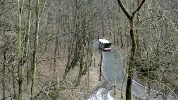 Autobus jede přes holé Les — Stock video