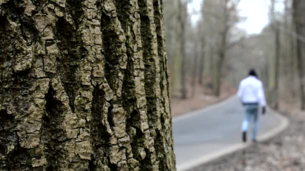 Man goes on the empty road - bare forest - tree bark - cloudy — Stock Video