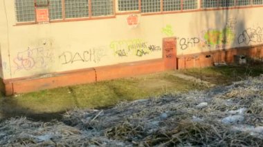 Graffiti duvar - vandalizm - çim - güneşli