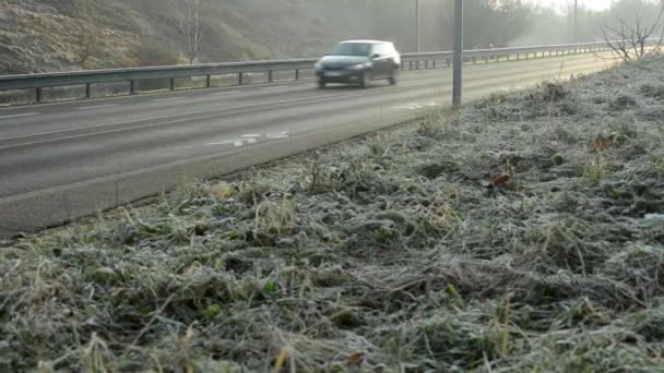 Droga z samochodów - natura (trawy - poranna Rosa) — Wideo stockowe