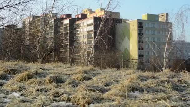 Vinter gräs med snö - morgondagg - byggnader i bakgrunden - lägenheter — Stockvideo