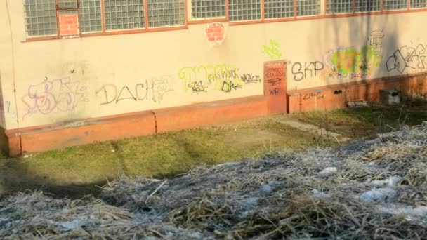 Graffiti zeď - vandalismus - tráva - slunečno — Stock video