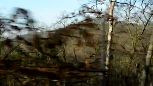Fliegen durch kahlen Wald - sonnig — Stockvideo