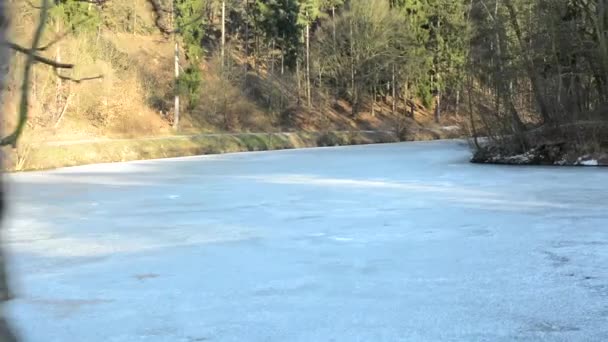 Un lago congelado en el bosque - bosques desnudos - soleado - steadicam caminar — Vídeo de stock