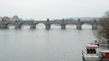 Charles Köprüsü Prag, Çek Cumhuriyeti - kuşlar - Vltava Nehri - bulutlu