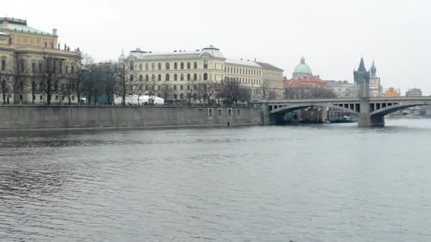 City buildings - bridge - river Vltava — Stock Video