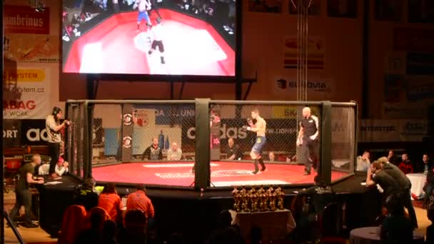 MMA combat - combat sur le ring — Video