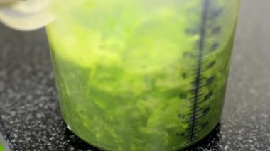 Şef hazırlar bir karışımı (mix) - ıspanak - portre