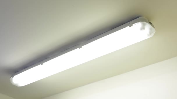 Accendere la luce - una lampada fluorescente - soffitto — Video Stock