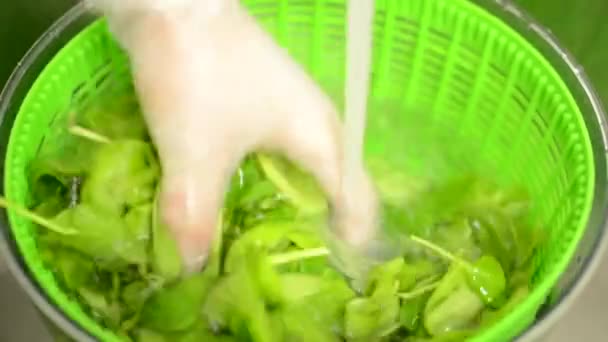 Lo chef prepara spinaci - lavello - acqua corrente - primo piano — Video Stock