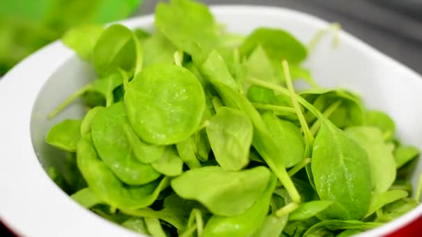 Chef prepares spinach for mixing — Stock Video