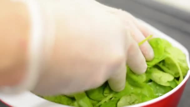 Chef prepares spinach for mixing — Stock Video