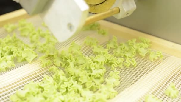 Production of pasta - machine produce pasta - hands of worker — Stock Video