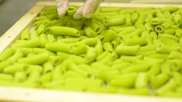 Gedroogde pasta in rack - chef-kok besturingselementen kwaliteit van pasta - close-up op handen — Stockvideo