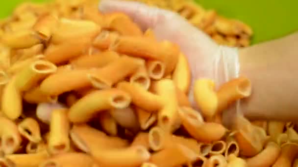 Dried pasta in container - closeup - worker (hands) controls quality of pasta — Stock Video