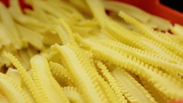 Torkad pasta i container - närbild - arbetare (händer) kontrollerar kvaliteten på pasta — Stockvideo