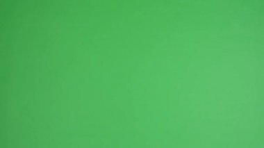 Genç yakışıklı çocuk çocuk gülümser ve kamera - yeşil ekran - stüdyo önünde atlar