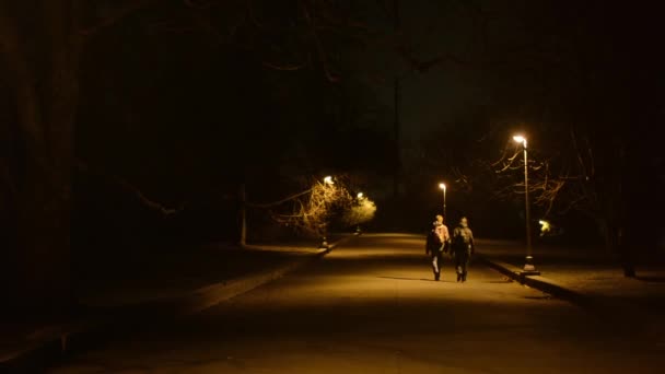 Night park - people walking - lamps — Stock Video