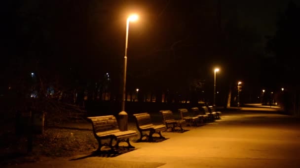 Parque nocturno - bancos y lámparas — Vídeo de stock