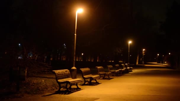 Night park - benches and lamps — Stock Video