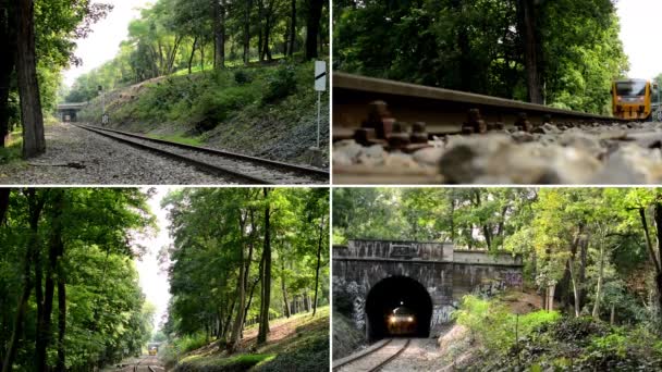 REPÚBLICA CHECA, PRAGA - 18 DE SEPTIEMBRE DE 2014: Montaje 4K (compilación) - tren que pasa por el bosque desde o hacia el túnel — Vídeos de Stock