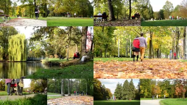 PRAGUE, CZECH REPUBLIC - OCTOBER 18, 2014: 4K MONTAGE (compilation) - Autumn park (forest - trees) - people walking and relax - lake - pavement with fallen leaves - people sitting — Stock Video