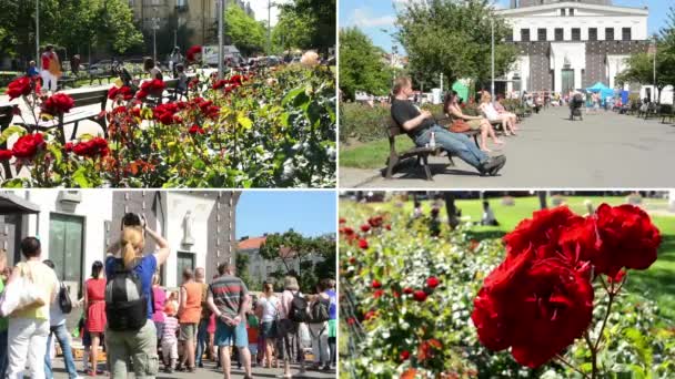 Praag, Tsjechische Republiek: 2014 juli-4k montage (compilatie)-tuin met rode rozen-mensen zitten op banken-stad — Stockvideo