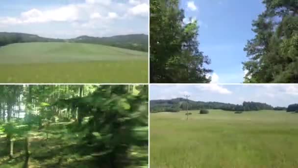 MONTAGGIO 4K (compilazione) - giro veloce attraverso il paesaggio e la foresta (cima dell'albero) con cielo blu — Video Stock