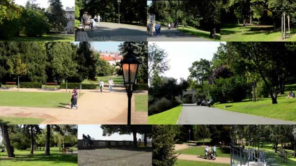 PRAGUE, REPÚBLICA CHECA - OUTUBRO 5, 2014: montagem 4K (compilação) as pessoas relaxam no parque (sentado e a pé) - natureza (grama e árvores) - pavimento - ensolarado — Vídeo de Stock