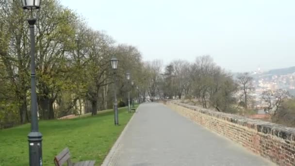 Parque (naturaleza) - camino - ciudad en el fondo - steadicam — Vídeo de stock