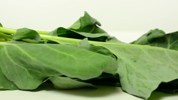 Vegetables - kohlrabi - white background studio — Stock Video