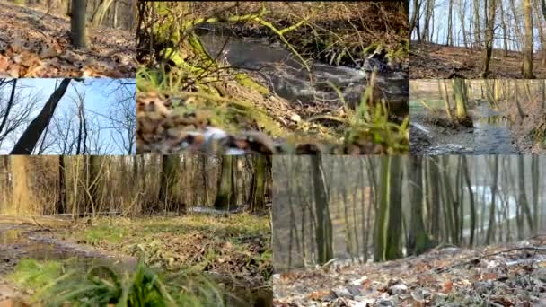 Montaje 4K (compilación) - arroyo en el bosque - soleado - invierno - árboles y hierba - copa de árbol - cielo azul — Vídeos de Stock